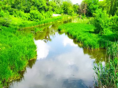Nehir yolu, güneşli bir günde panorama kıyısı doğası.