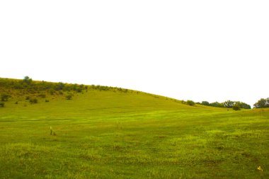 Şafak vakti dağ ormanı, havada hafif bir sis. Tepelerin manzaralı manzarası. Orman manzarası
