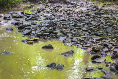 Kayalıklarda nehir pınarı sıçrıyor