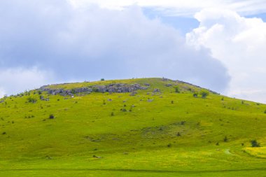 Şafak vakti dağ ormanı, havada hafif bir sis. Tepelerin manzaralı manzarası. Orman manzarası