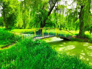 Park Gölü, Nehir Köprüsü Güneşli bir günde
