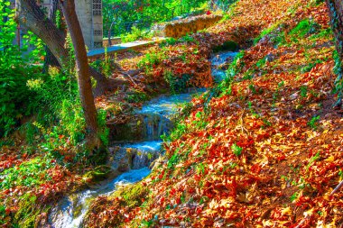 Güzel çağlayan şelaleler, kayalar