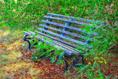 Eski mavi park bankı sonbaharda