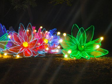Parlayan güzel yapay çiçekler. bahçe ışığı kurulumları