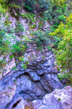 Olympus Dağı, Yunanistan Panorama Doğa