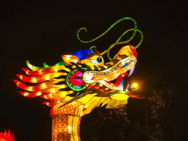 Ejderha Çin feneri renk sanatı gecesi gösteriyor. bahçe ışığı dekorasyonu