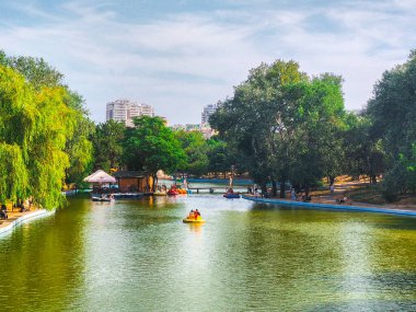 Güneşli bir yaz gününde nehir. tatil