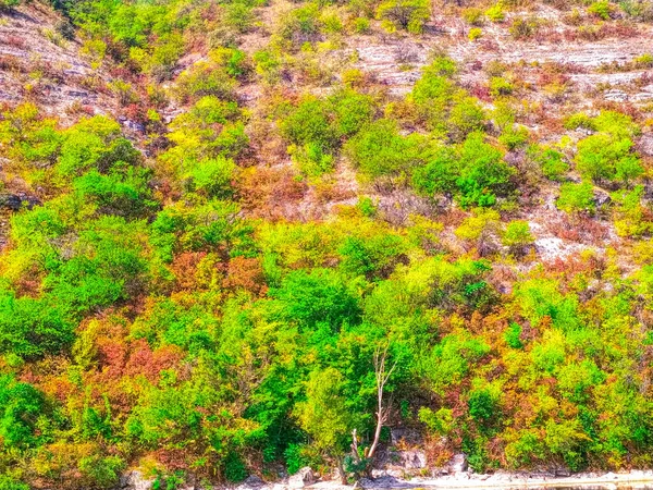 Montaña Con Textura Césped Árboles Fondo — Foto de Stock