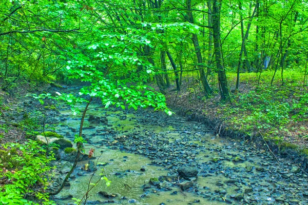 Close Pequeno Rio Rápido Com Grandes Pedras Floresta Verde — Fotografia de Stock