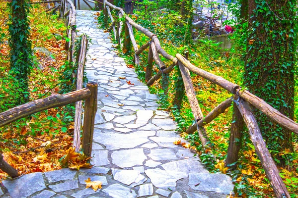 Caminho Tijolo Com Carris Madeira Jardim Beco — Fotografia de Stock