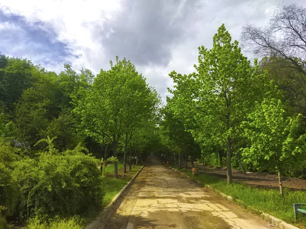 Spring Park Path Way Road — Stock Photo, Image