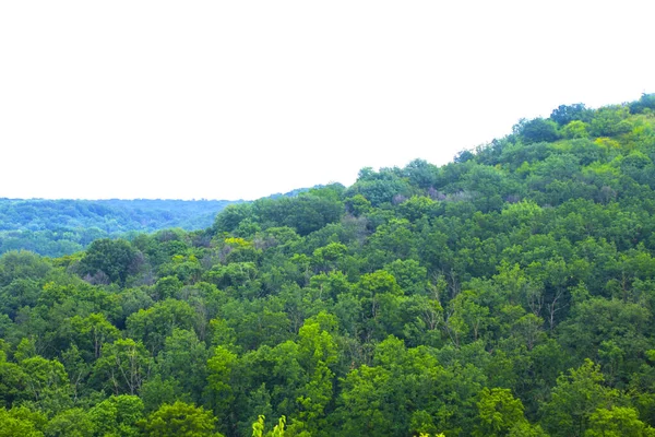 Górski Las Świcie Miękka Mgła Powietrzu Malowniczy Widok Wzgórza Panorama — Zdjęcie stockowe