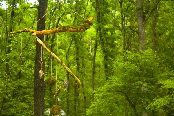 ethnic totem dream catcher. dream catcher hanging on tree