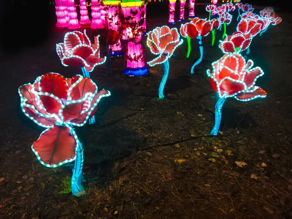 Beautiful Glowing Pink Artificial Flower Garden Light Installations — Stock Photo, Image