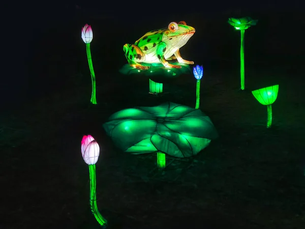 Hermosas Flores Artificiales Brillantes Animales Instalaciones Con Luz Del Jardín — Foto de Stock