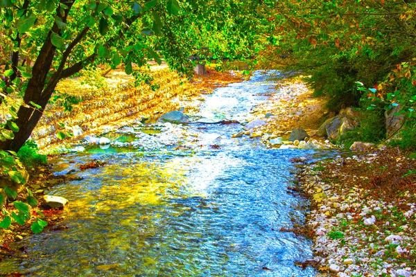 Река Брызги Пород Осенний Парк — стоковое фото