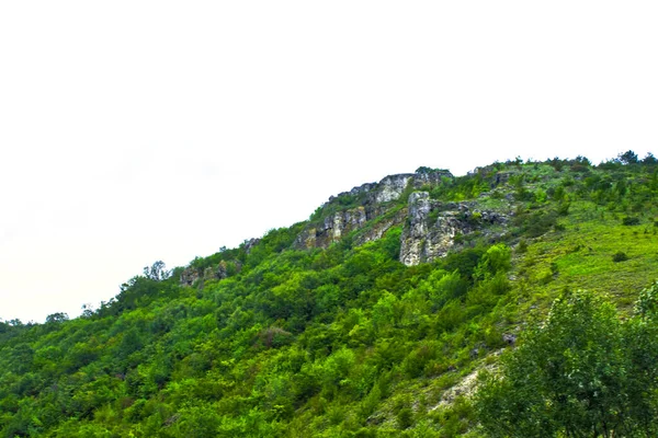 Yeşil Tepe Dağları Kayaları Panorama — Stok fotoğraf