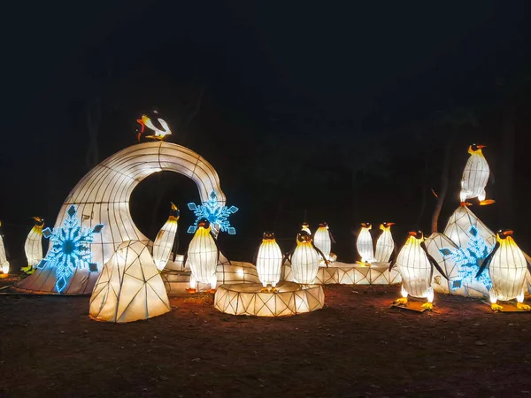 Lantern Pinguines Winters Night Garden Light Decoration — Stock Photo, Image