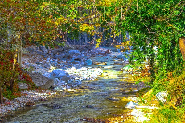 Río Salpicaduras Rocas Parque Otoño — Foto de Stock