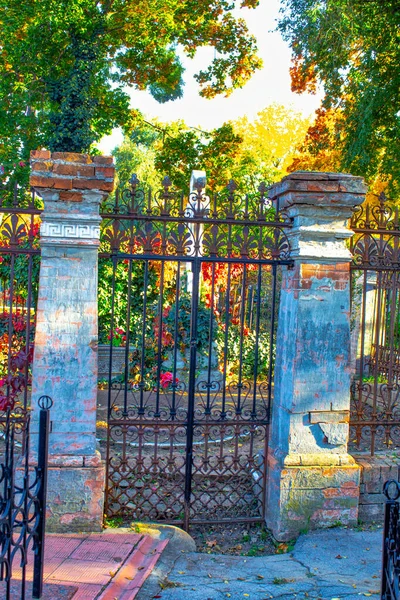背後の植物と金属製のフェンスの閉鎖 ラスティフェンスのない古い門だ 錆とヴィンテージ金属フェンス — ストック写真