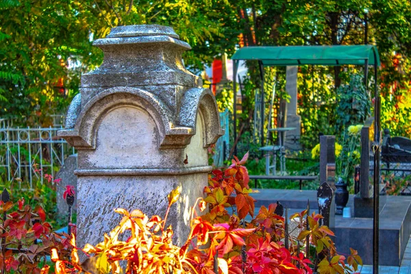 Tombstones Cemetery Green Plants Old Graves Graveyard Gothic Tombstone Autumn — 스톡 사진