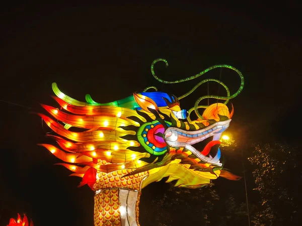 Dragon chinese lantern show color art night. garden light decoration
