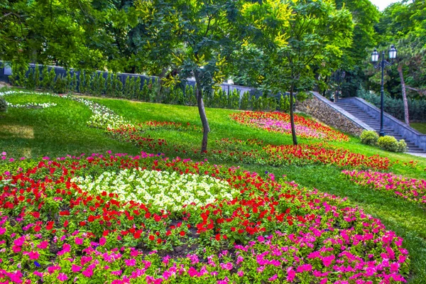 Spring Park Flowers Summer Day — Stock Photo, Image