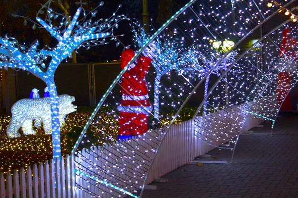 Illuminazione Della Ghirlanda Giardino Natale Notte — Foto Stock