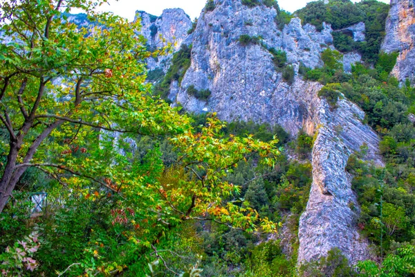 Olympus Berg Griekenland Panorama Natuur — Stockfoto