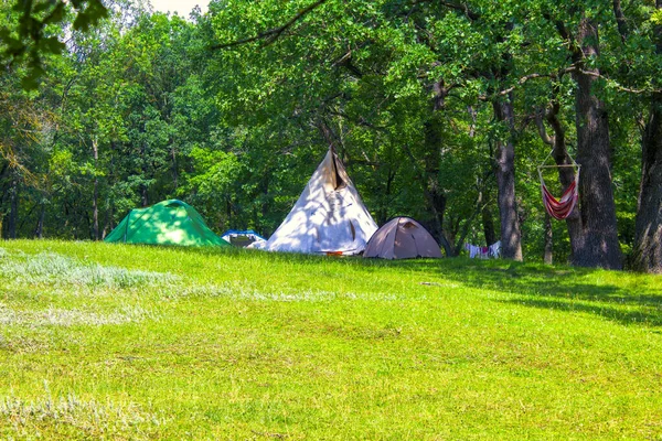 Tiendas Campaña Colinas Verdes Bosque — Foto de Stock