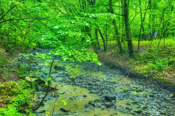 Крупный План Небольшой Быстрой Реки Большими Камнями Зеленом Лесу — стоковое фото