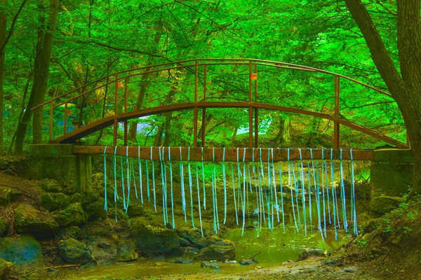 Pont Rustique Dans Forêt Verte Nature — Photo