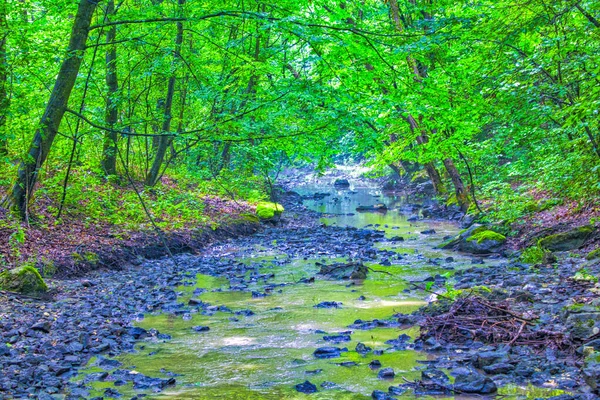 小河的特写镜头 在绿林中镶嵌着大石头 — 图库照片