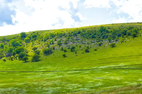 緑のフィールドの丘の風景パノラマ — ストック写真