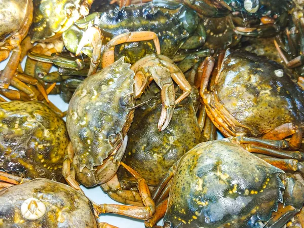 Los Cangrejos Frescos Mar Que Arrastran Fondo Vida — Foto de Stock