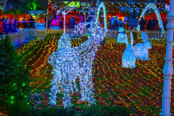 Garland Illumination Christmas Garden Night — Stock Photo, Image