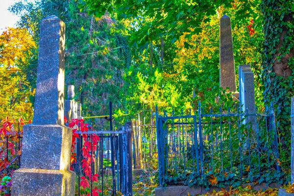 Tumbas Cementerio Entre Plantas Verdes Viejas Tumbas Cementerio Tumba Gótica — Foto de Stock