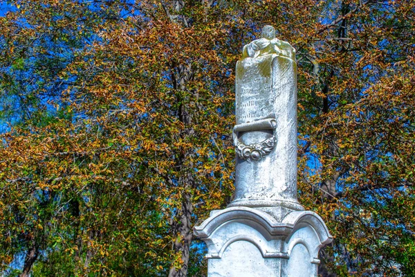 Надгробия Кладбище Среди Зеленых Растений Старые Могилы Кладбище Готический Надгробие — стоковое фото