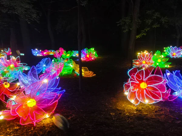 Beautiful Glowing Artificial Flowers Garden Light Installations — Stock Photo, Image