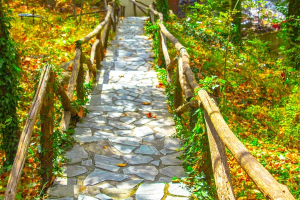 Ziegelweg Mit Holzschienen Allee Garten — Stockfoto