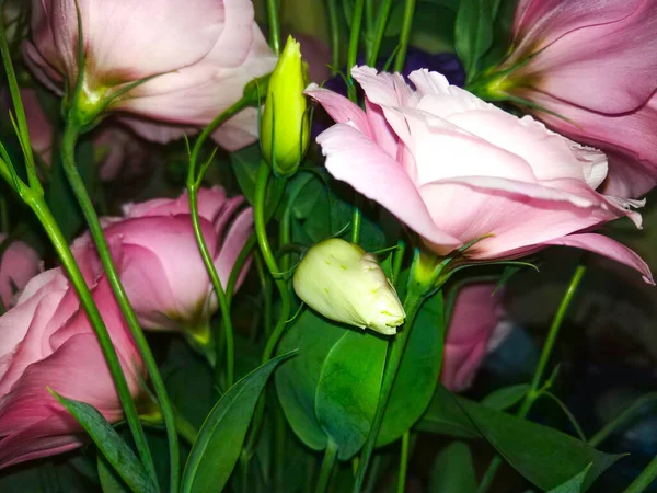 Buquê Flores Eustoma Lilás Brancas Rosas Roxas — Fotografia de Stock