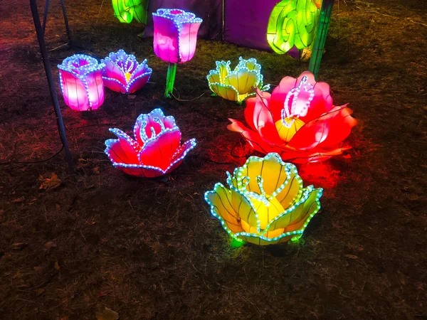 Beautiful Glowing Artificial Flowers Animal Garden Light Installations — Stock Photo, Image