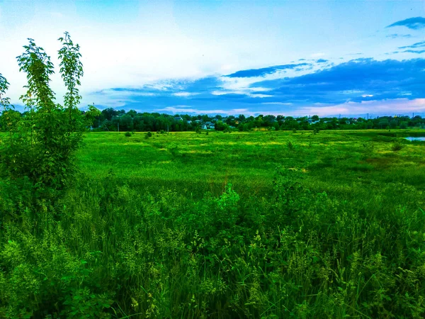 Avond Zonsondergang Groen Veld Heuvels Landschap — Stockfoto