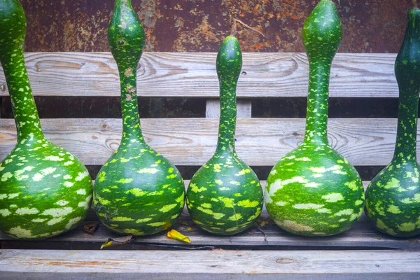 Frische Loofah Und Kürbisse Gemüse Für Den Hintergrund Ernte — Stockfoto