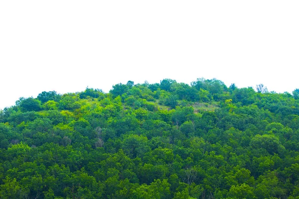 Górski Las Świcie Miękka Mgła Powietrzu Malowniczy Widok Wzgórza Panorama — Zdjęcie stockowe