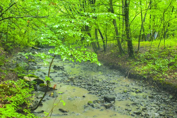 Close Pequeno Rio Rápido Com Grandes Pedras Floresta Verde — Fotografia de Stock