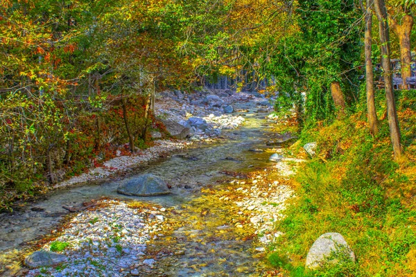 Nehir Kayalar Sonbahar Parkı — Stok fotoğraf