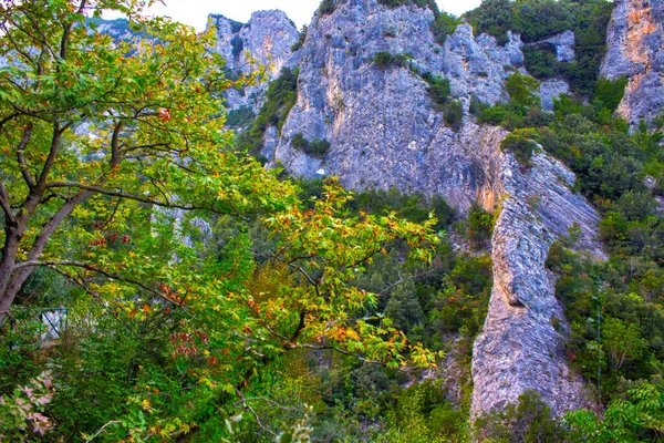 Olympus Mountain Greece Panorama Nature — Stock fotografie