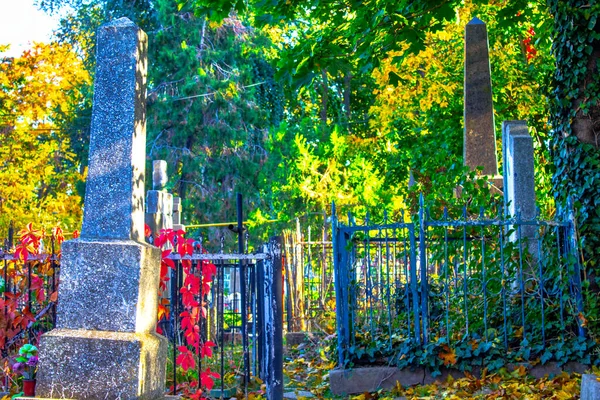 Mezarlıkta Yeşil Bitkilerin Arasında Mezar Taşları Mezarlıktaki Eski Mezarlar Sonbahar — Stok fotoğraf