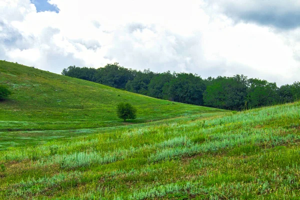Zielone Pole Wzgórza Krajobraz Panorama — Zdjęcie stockowe